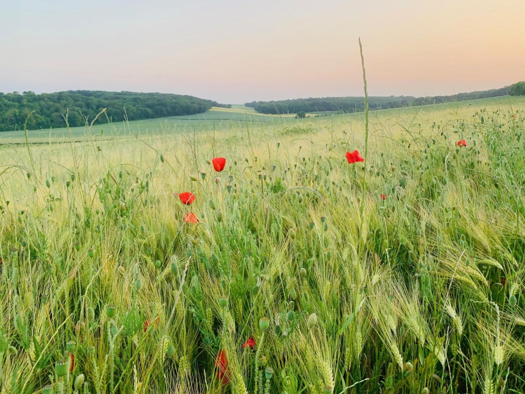 Chambre A La Noye Estrees-sur-Noye Zewnętrze zdjęcie